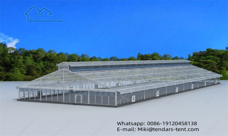 20 × 60m iav Marquee Tsev Pheebsuab